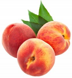 Large PNG Peaches Clipart | Crazy for Coral | Pinterest | Peach and Free