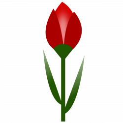 Clipart - TULIP Simple Red Flower- 3-color- with slight glow