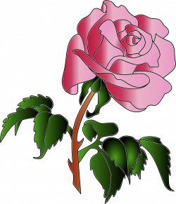 Clipart - Rose colors