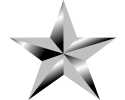 Silver Star PNG Image - PurePNG | Free transparent CC0 PNG Image Library