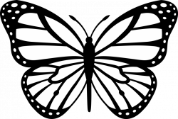 Outline Image Of Butterfly #12533 - 744×1200 | www.reevolveclothing.com