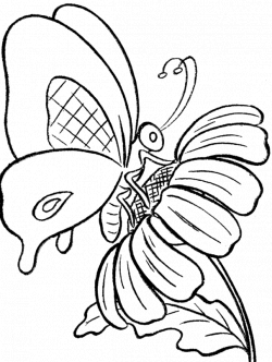 Flowers And Butterflies Drawing at GetDrawings.com | Free for ...