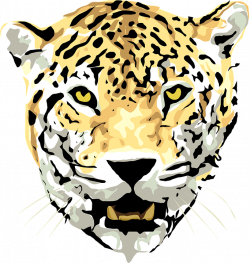 Amur Leopard clipart - PinArt | 9 different types of leopards, an ...