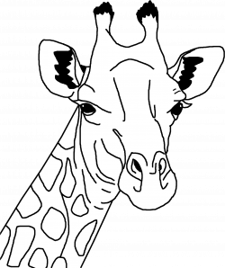 Giraffe line art Icons PNG - Free PNG and Icons Downloads