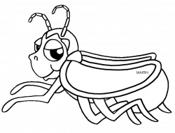 Firefly Insect Drawing at GetDrawings.com | Free for personal use ...