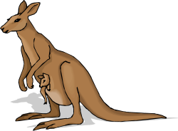 Free Pictures Of A Kangaroo, Download Free Clip Art, Free Clip Art ...