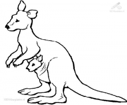 Free Kangaroo Picture To Color, Download Free Clip Art, Free ...