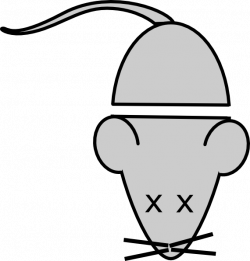 Headless Lab Mouse Template Clip Art at Clker.com - vector clip art ...