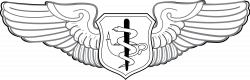 File:United States Air Force Flight Nurse Badge.svg - Wikimedia Commons