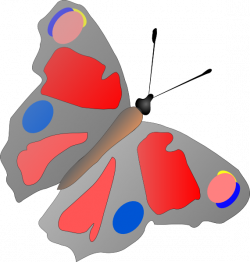 Colorful Butterfly Clip Art at Clker.com - vector clip art online ...