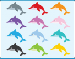Color dolphin clipart - Clip Art Library