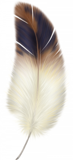 Download FEATHER Free PNG transparent image and clipart