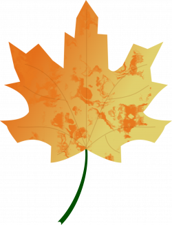 Clipart - Autumn Leaf 5