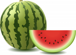 watermelon png - Free PNG Images | TOPpng