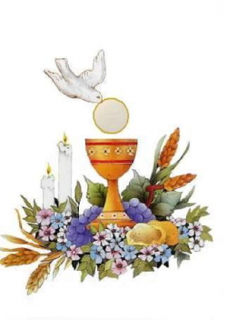 Eucharist/First Communion - Immaculate Conception Catholic ...