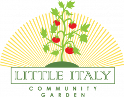 Little Italy Community Garden — Make Something Edmonton_