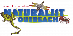 The Naturalist Outreach Program