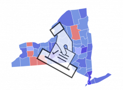 Yes, There's Another Election – NYU Local