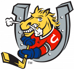 Barrie Colts - Wikipedia