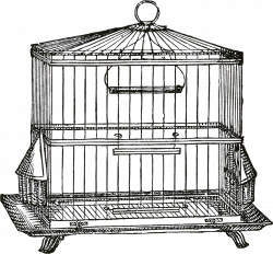 Birdcage clipart transparent - Pencil and in color birdcage clipart ...