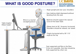 Article with Tag: computer desk ergonomic mid back chair ...