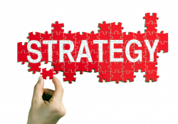 Decision Making Strategies | Your Training Edge ®
