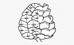 Pinecone Clipart - Pine Cone Simple Drawing #215109 - Free ...