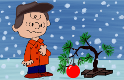 5 Charlie Brown Quotes for Avoiding “Good Grief'” Holiday Events ...