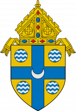 Roman Catholic Diocese of Springfield in Illinois - Wikipedia