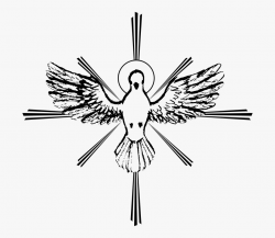 Holy Spirit God Doves As Symbols Confirmation - Espiritu ...