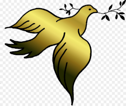 Columbidae Doves as symbols Confirmation Clip art - DOVES