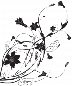 Black White Floral Decoration PNG Clip Art | Gallery Yopriceville ...