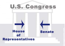 Government-congress Flashcards by ProProfs
