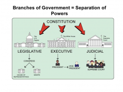 Branches of Government = Separation of Powers. Bicameral ...