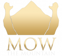 MOW Constitution & Bylaws | The Mountain