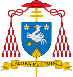 College of Cardinals – petercanisiusmichaeldavidkang