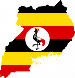The Constitution Amendment Bill, 2017 - Uganda Journalists' Resource ...