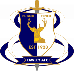 Constitution — Fawley AFC
