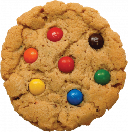 Biscuit PNG Image - PurePNG | Free transparent CC0 PNG Image Library