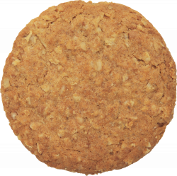 Biscuit PNG Image - PurePNG | Free transparent CC0 PNG Image Library
