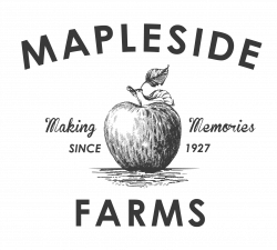 Old Fashioned Company Picnic V2 | Mapleside