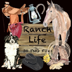 western watercolor clip art cowboy clipart horse dog boots cowboy hat  saddle sunflower clipart horseshoe bandana cow calf Wild West