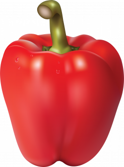 Red Pepper PNG Image - PurePNG | Free transparent CC0 PNG Image Library