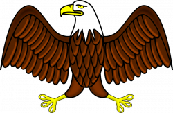 Clipart - Bald Eagle