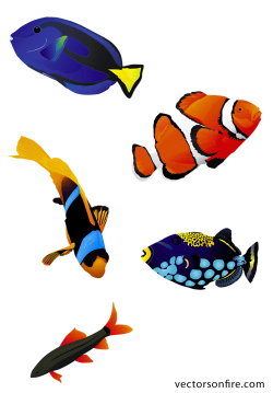 Free Colorful Aquarium Fish (5 Fish) PSD files, vectors & graphics ...