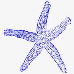 Free Clipart Of Starfish Cliparts, Silhouettes, Cartoons ...