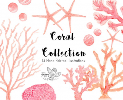 Coral Watercolor Clipart - Beach Clipart - Under The Sea Clipart - Wedding  Invitation - Coral Clipart - Sea Coral - Ocean Clipart - Nautical