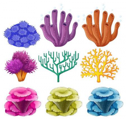 Free Coral Clipart brain coral, Download Free Clip Art on ...