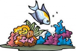 A Fish Swimming Near Colorful Coral - Royalty Free Clipart ...