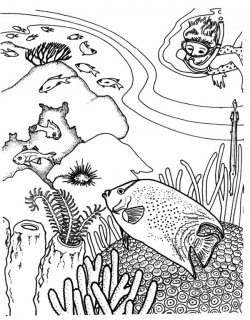 Download coral reef ecosystem easy drawing clipart Coral ...